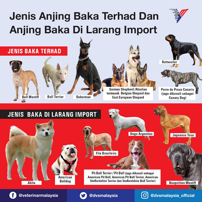 Senarai baka anjing dilarang import di Malaysia